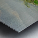 Purple Flowers for Sunset Metal print