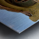 Special House on the Beach Metal print