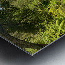 The Red Bridge Metal print