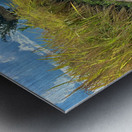 Vagabond Dog Impression metal