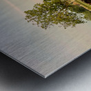 Temple by the Stream Metal print