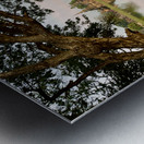 Temple Reflections Metal print