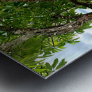 Heads Hanging Metal print