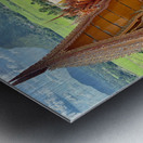 Wat Tham Suea 1 Metal print