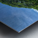 Giant Raintree 2 Metal print