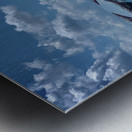 Gardens by the Bay Singapore 1 Metal print