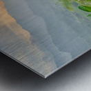 Purple Flowers for Sunset 2 Metal print