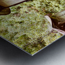 Old Lanterns Metal print