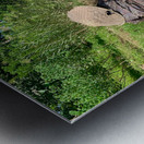 Lady Paddling Metal print