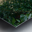 Bangkok Waterway Metal print