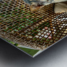 Dating a Cat Metal print