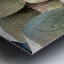 Coconut Stack Metal print