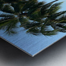 Let s Chill Under the Palm Trees Impression metal