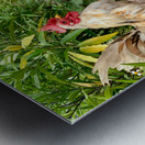 Rooster Bike Metal print