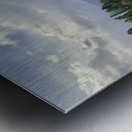 Newlyweds by the Wanaka Tree Impression metal