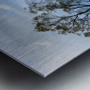 The Wanaka Tree New Zealand Metal print