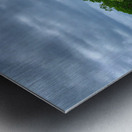 Mangroves Metal print