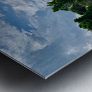 Life  and Death Metal print