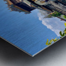 The Lady in Red Vietnam Metal print