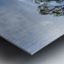 The Wanaka Tree New Zealand 2 Metal print