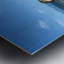 Bird Looking Straight Ahead Metal print