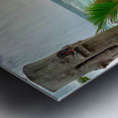 A Peak at the Beach Metal print