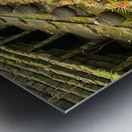 Bali Holy Water Metal print