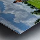 Cycling Back Home Metal print