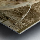 Hello Piggy Metal print