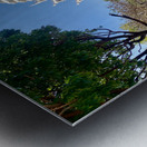 Little White Temple in Khon Kaen Thailand Metal print