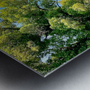 Little White Temple Metal print