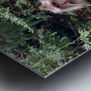 Mama Monkey Metal print