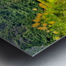 Ninh Binh Reflections Vietnam 2 Metal print