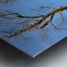 Phanom Rung Historical Park Thailand 2 Metal print