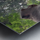 Monkeys on the Roof Impression metal