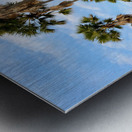 Palm Trees on the Hills Metal print