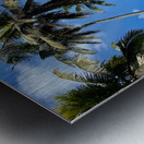 Palm Trees behind the Wall Metal print