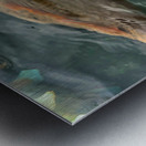 Plenty of Colorful Fish Metal print