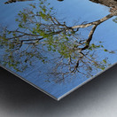 Phanom Rung Historical Park Thailand 3 Metal print