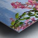 Pretty Pink Flowers Metal print