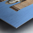 Wat Mahathat Temple Old Sukhothai Thailand 2 Metal print