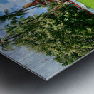 Don Khon Island Temple Laos Metal print