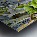 Bananas Offering Metal print