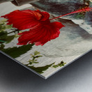 Red Flower & Homemade Lamp in Thailand Metal print