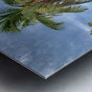 L Palm Tree Metal print