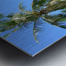 Palm Trees 2 Metal print