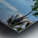 Palm Tree Road Metal print