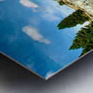 Dead Wood in Front of the Lake Metal print