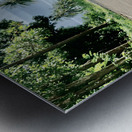 Coconut Shadow Metal print