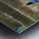 Bird Climbing the Stairs Metal print